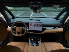 Zeekr Geely Geometry 009 Seven-Seat Ultra Home Edition - фото 13