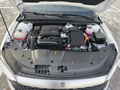 BYD Qin PLUS Glory Edition DM-i 55KM Leading - photo 10
