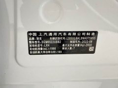Buick GL8 ES Land Respect 653T Premier - фото 10