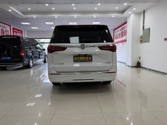 Buick GL8 ES Land Respect 653T Premier - фото 3