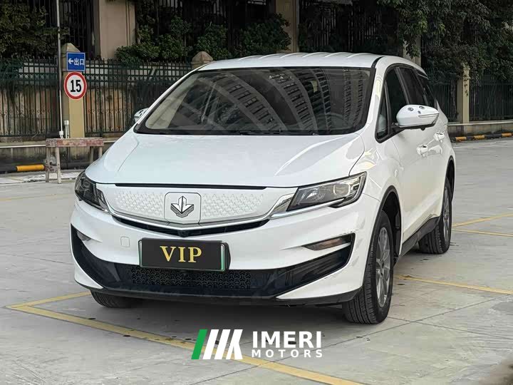 BYD Maple 80V Youxing Edition NCM - ავტომობილი ჩინეთიდან