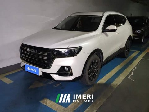 2021 Haval H6 National Trend Edition 1.5T Automatic Urban Version - автомобиль из Китая