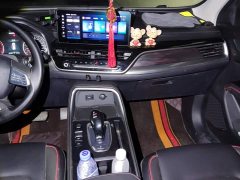 Haval H6 National Trend Edition 1.5T Automatic Urban Version - photo 13