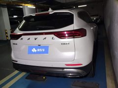 Haval H6 National Trend Edition 1.5T Automatic Urban Version - photo 3