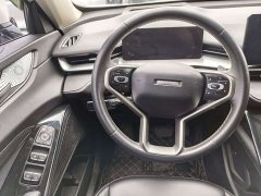 Haval H6 National Trend 2.0GDIT Automatic Champion Edition - photo 6