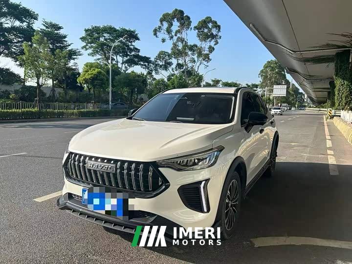 Haval Haver Rabbit 1.5T Dynamic Edition