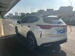 Haval Haver Rabbit 1.5T Dynamic Edition - ფოტო 4