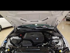 BMW 3 Series 320Li M Sport Package - photo 11