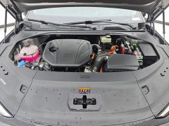 Geely Galaxy Xingyao 8 130km EM-i Flagship - ფოტო 10