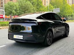 Tesla Model Y Rear-Wheel Drive - фото 10