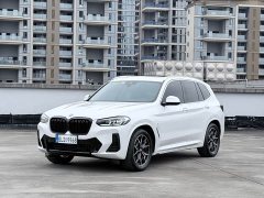 BMW X3 xDrive25i M Sport Package - фото 1