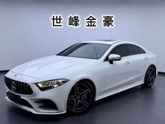 Mercedes-Benz CLS 300 Luxury - ფოტო 1