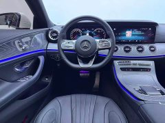 Mercedes-Benz CLS 300 Luxury - ფოტო 11