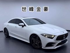 Mercedes-Benz CLS 300 Luxury - ფოტო 3