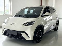 BYD Seagull Freedom Edition - ფოტო 1