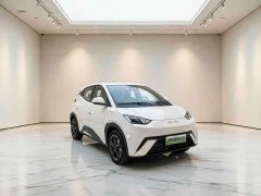 BYD Seagull Freedom Edition - ფოტო 3