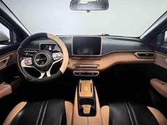 BYD Seagull Freedom Edition - ფოტო 5