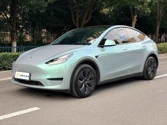Tesla Model Y Rear-Wheel Drive - фото 1
