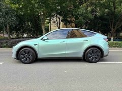Tesla Model Y Rear-Wheel Drive - фото 5