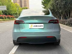 Tesla Model Y Rear-Wheel Drive - фото 9