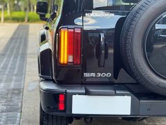 Tank 300 2.0T Challenger - ფოტო 16