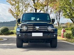 Tank 300 2.0T Challenger - ფოტო 2