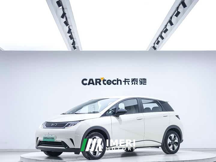 BYD Dolphin Glory Edition 420km Freedom Version