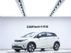 BYD Dolphin Glory Edition 420km Freedom Version - ფოტო 1