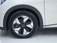 BYD Dolphin Glory Edition 420km Freedom Version - ფოტო 12