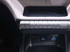 BYD Dolphin Glory Edition 420km Freedom Version - ფოტო 13
