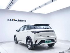 BYD Dolphin Glory Edition 420km Freedom Version - ფოტო 17