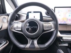 BYD Dolphin Glory Edition 420km Freedom Version - ფოტო 18