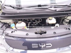 BYD Dolphin Glory Edition 420km Freedom Version - ფოტო 19