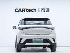 BYD Dolphin Glory Edition 420km Freedom Version - ფოტო 2