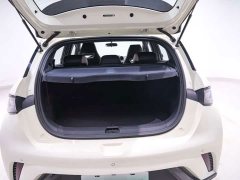 BYD Dolphin Glory Edition 420km Freedom Version - ფოტო 20