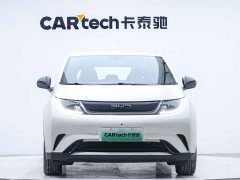 BYD Dolphin Glory Edition 420km Freedom Version - ფოტო 4