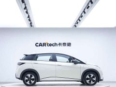 BYD Dolphin Glory Edition 420km Freedom Version - ფოტო 6