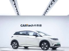 BYD Dolphin Glory Edition 420km Freedom Version - ფოტო 7