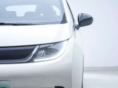 BYD Dolphin Glory Edition 420km Freedom Version - ფოტო 8