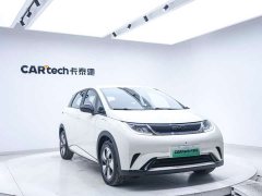 BYD Dolphin Glory Edition 420km Freedom Version - ფოტო 9