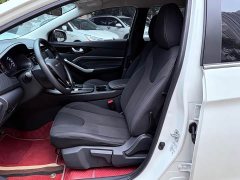 Nissan Venucia D60EV PLUS Comfort SI Trim - фото 11