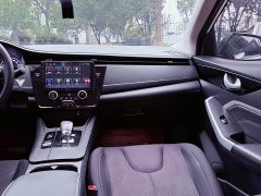 Nissan Venucia D60EV PLUS Comfort SI Trim - фото 15
