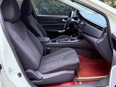 Nissan Venucia D60EV PLUS Comfort SI Trim - фото 20