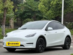 Tesla Model Y Standard Range RWD - ფოტო 1