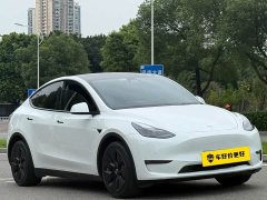 Tesla Model Y Standard Range RWD - ფოტო 3
