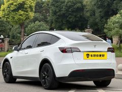 Tesla Model Y Standard Range RWD - ფოტო 6