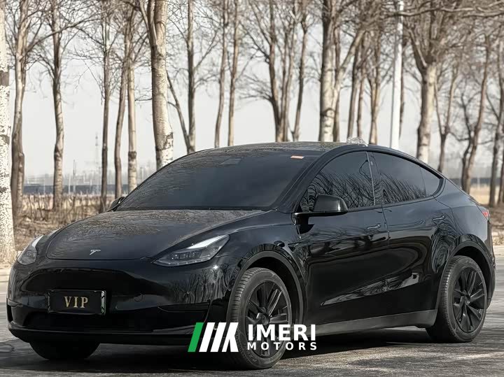 Tesla Model Y Rear-Wheel Drive