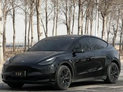 Tesla Model Y Rear-Wheel Drive - photo 1