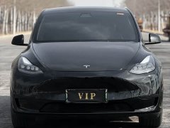 Tesla Model Y Rear-Wheel Drive - photo 2