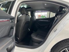Skoda Octavia PRO TSI280 Luxury Edition - photo 6